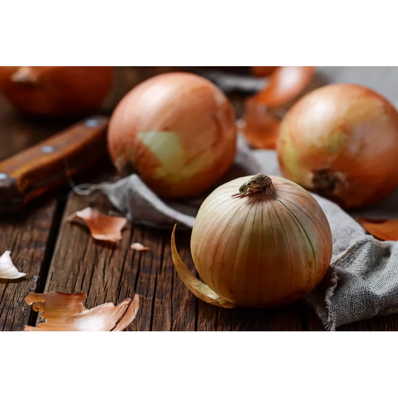 Sochaczew Onion Toraf Vegetable Seeds, 5g Pack