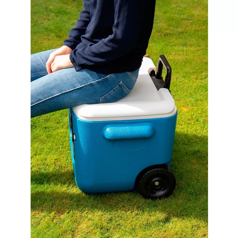 Coleman 2000036081 46 L Blue