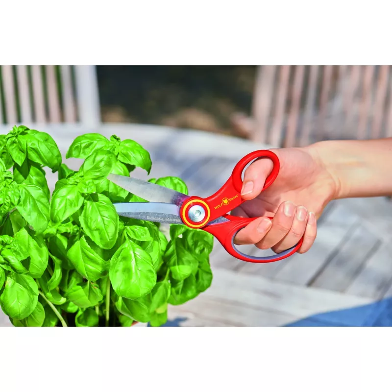 Lawn Rake WOLF-Garten RA-X 7216.000