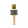 Microphone MANTA MIC10-G Gold cardioid portable — cardioid condenser, handheld design