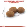 Dry cat food Royal Canin Sterilised 2 kg — adult neutered cats, chicken, 37% protein