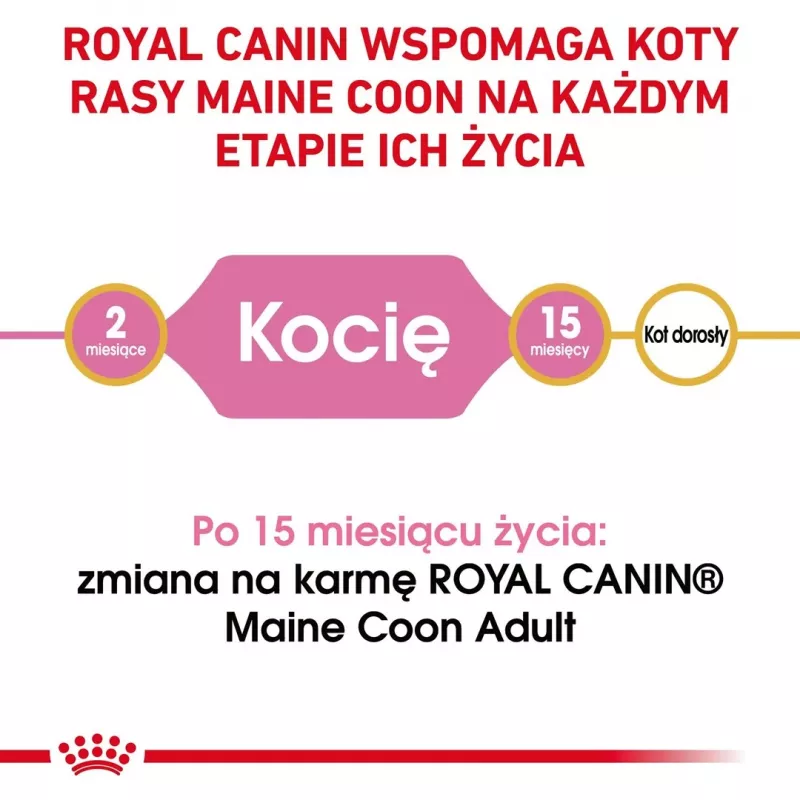 Dry cat food Royal Canin Maine Coon Kitten 2 kg — poultry, protein 36%, fat 23%