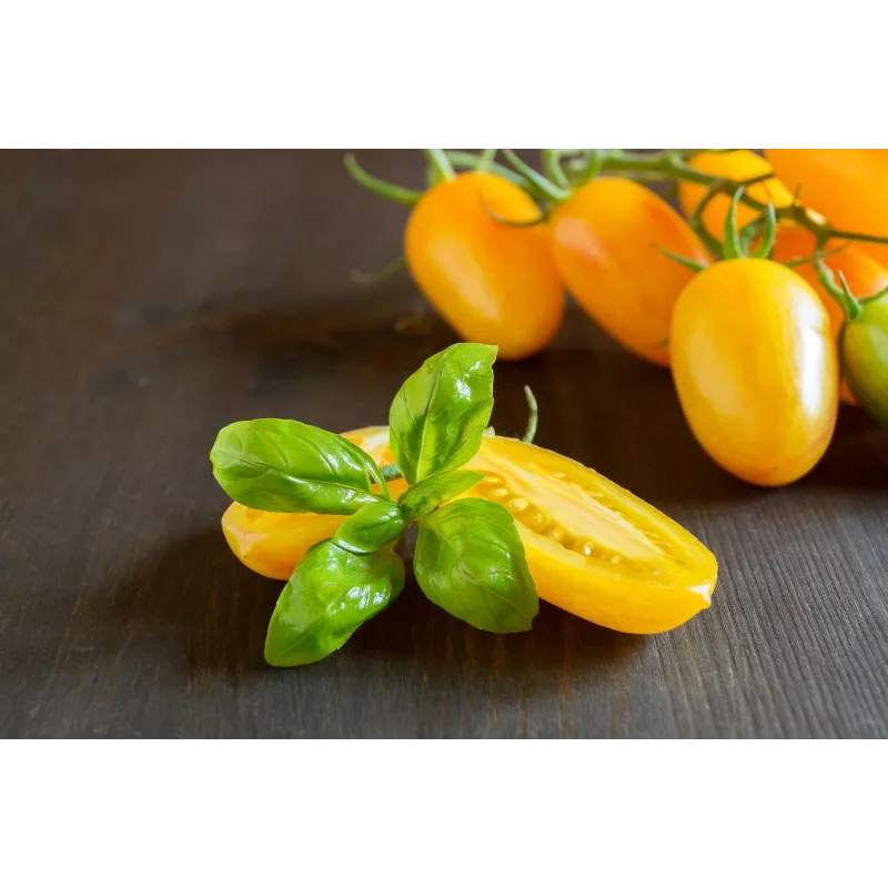 Cherry Tomato Perun Toraf Vegetable Seeds, 0.5g Pack