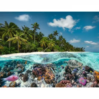 Puzzle Ein Dive in the Maldives (2000 Pieces)