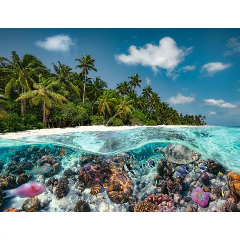 Puzzle Ein Dive in the Maldives (2000 Pieces)
