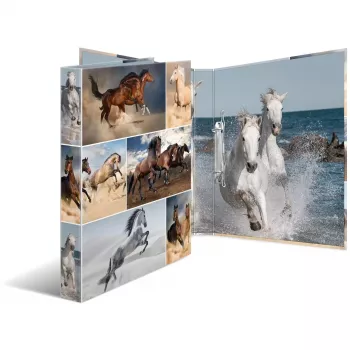 Ring binder HERMA 19429 A4 Multicolour