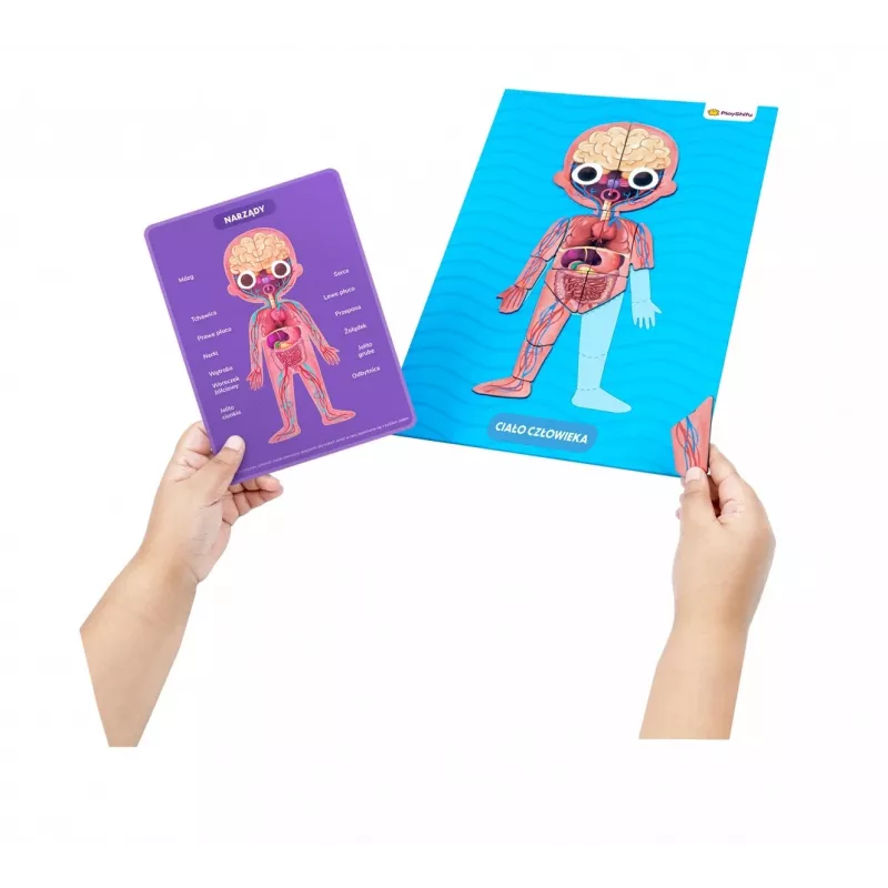 Educational toy set Dante My Super Human Body — interactive learning kit for anatomy