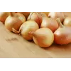 Wolska Onion Toraf Vegetable Seeds, 5g Pack