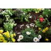 Garden Hose Gardena 1362-20 15 m Above Ground Black