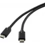 Renkforce RF-4531576 USB Cable 2 m USB 3.2 Gen 2 (3.1 Gen 2) USB C Black (RF-4531576)