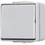 Pushbutton switch Jung 606 W 1P wired 250 V 10 A grey
