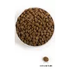 ACANA Highest Protein Pacifica - dry dog food - 11.4 kg