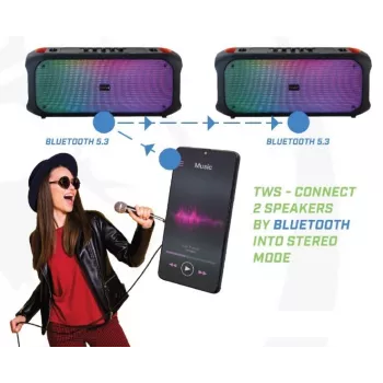 Bluetooth Speaker SoundVox 650, 10W