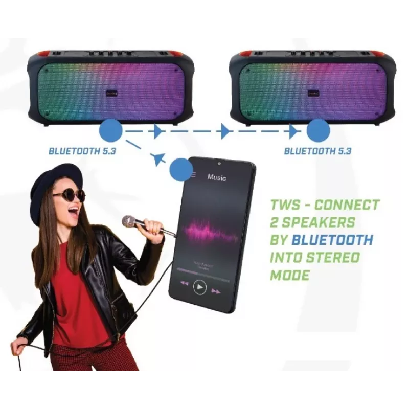Bluetooth Speaker SoundVox 650, 10W