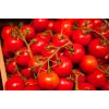 Bajaja Cherry Tomato Toraf Vegetable Seeds, 0.3g Pack