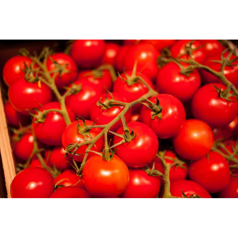 Bajaja Cherry Tomato Toraf Vegetable Seeds, 0.3g Pack