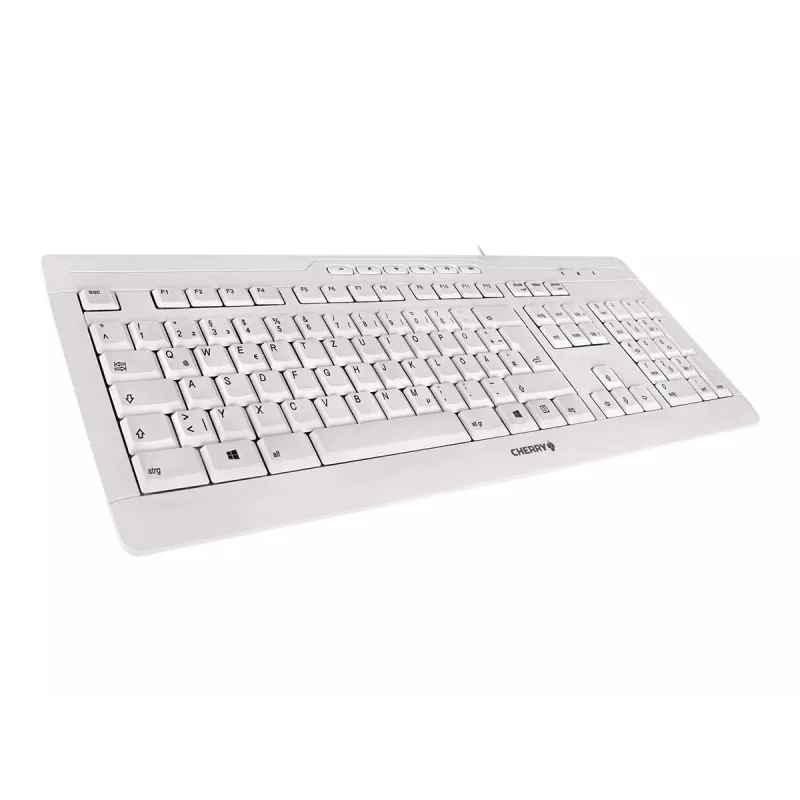 CHERRY STREAM 3.0 keyboard Office USB Swiss Grey