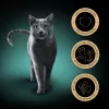 SHEBA Sauce Collection Fish flavors collection - wet cat food - 40x85 g