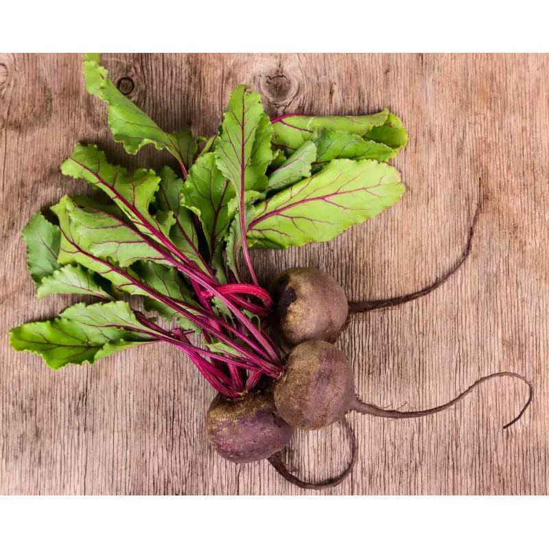Dark Red Beetroot Toraf Vegetable Seeds, 20g Pack