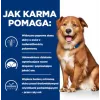 HILL'S Prescription Diet Derm Complete - dry dog food - 1,5kg