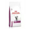 Royal Canin VHN Cat Renal Dry Cat Food, 2 kg