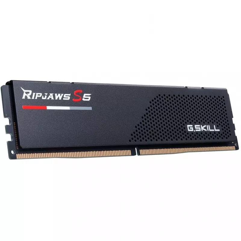 G.Skill F5-6000J3036F24GX2-RS5K memory module 48 GB 2 x 24 GB DDR5 5600 MT/s