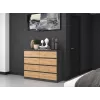 Topeshop M8 120 ANT/ART KPL chest of drawers