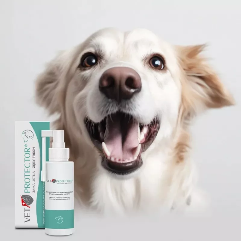Oral care solution JM Sante Vet Protector Fresh 100 ml for dogs and cats, dental tartar prevention