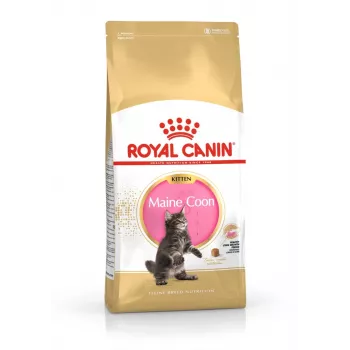 ROYAL CANIN Maine Coon Kitten- dry cat food - 4 kg