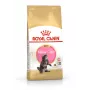 ROYAL CANIN Maine Coon Kitten- dry cat food - 4 kg