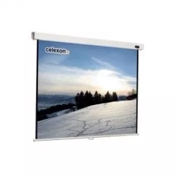 Celexon Professional manual - Screen - Ceiling Mounting Possible, suitable for Wall Mount - 304 cm (120) - 1:1 - White (1090045)