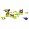 Team Quiz Challenge - Cats vs. Dogs, Quiz Game