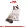 Royal Canin FBN Ragdoll Adult Dry Cat Food, 2 kg