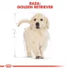 Royal Canin Golden Retriever Puppy Dry Dog Food 12 kg