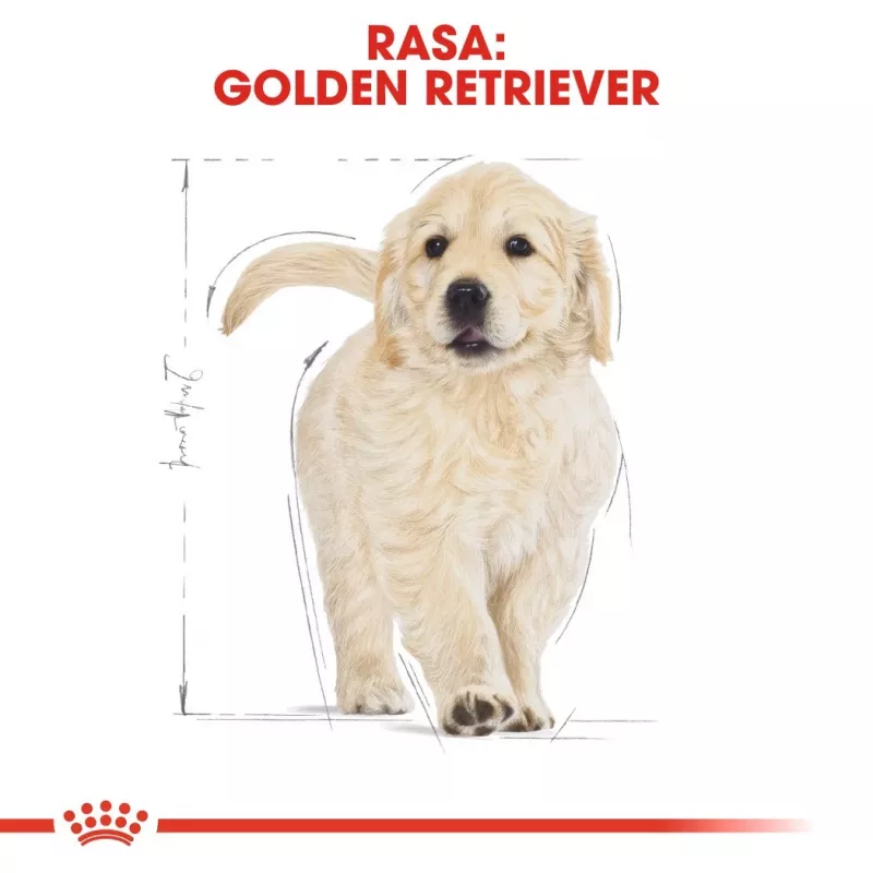 Royal Canin Golden Retriever Puppy Dry Dog Food 12 kg