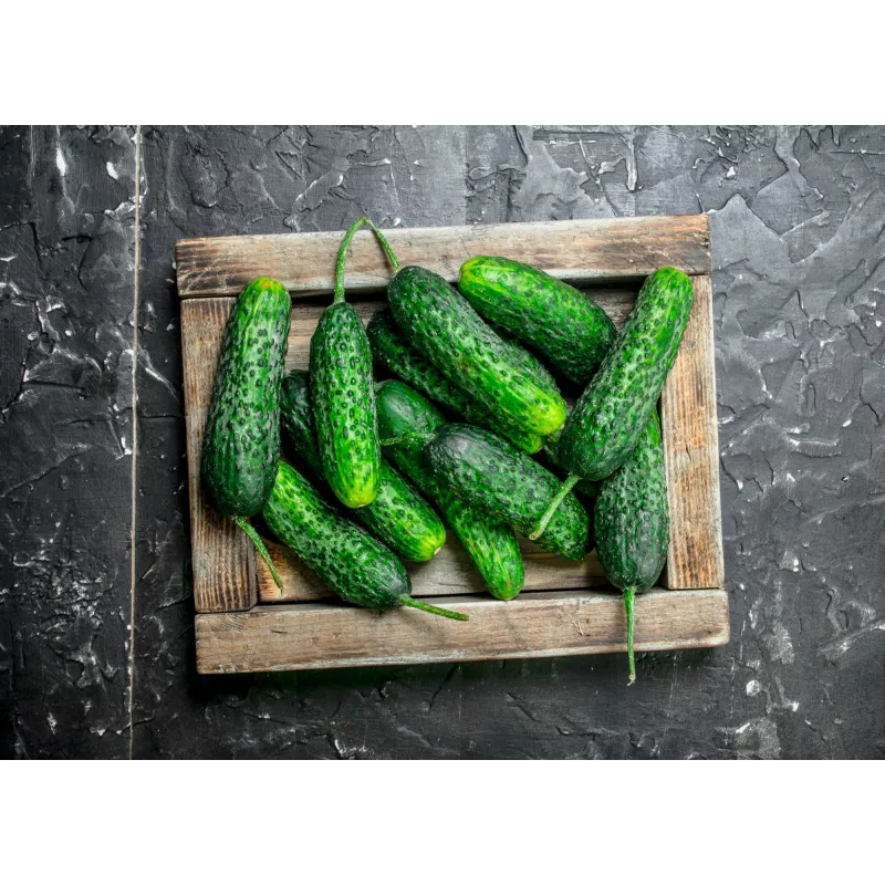 Cucumber Krak F1 Toraf Vegetable Seeds, 5g Package