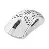 Gaming mouse Endgame Gear TENKO AKITSU MEDIUM — 40 g, PixArt 3950 sensor, 8K polling, white