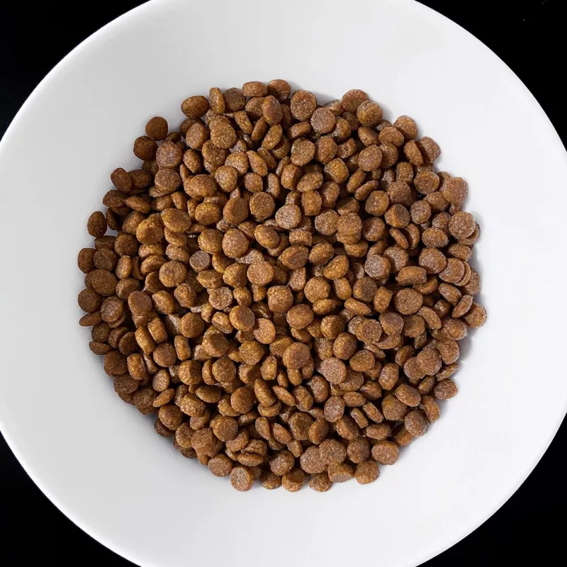 VET RESPONSE Gastrointestinal - dry cat food - 400g