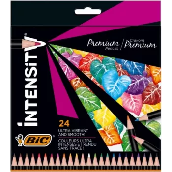BIC Coloring pencils Intensity 24 colours 967823
