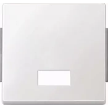 MERTEN rocker m.Rectangle.Symbolfen. 343819 AQUADESIGN polar white 343819 343819 (343819)