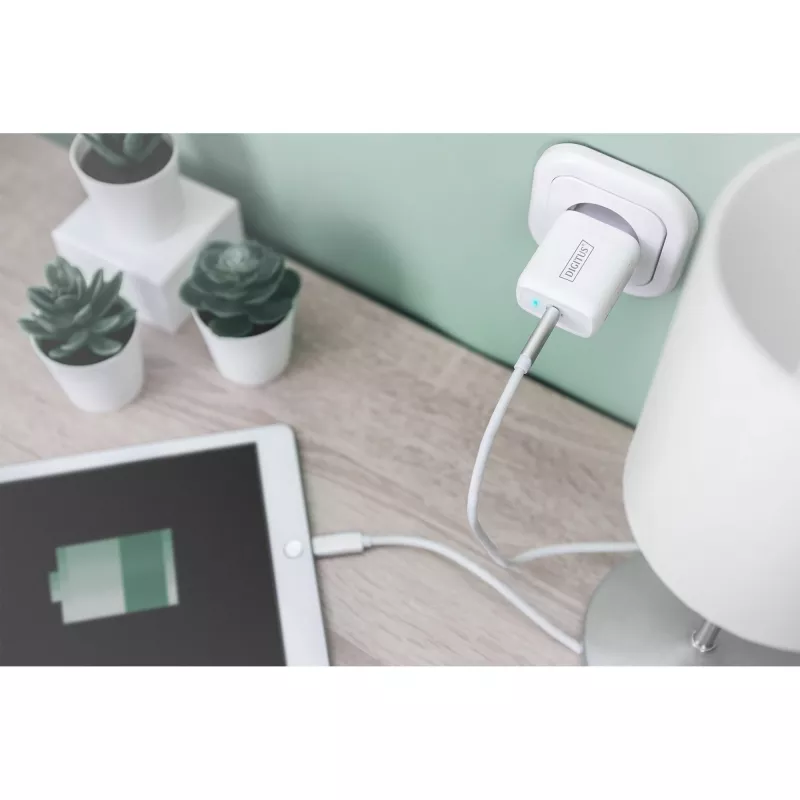 Digitus - Power Supply - 20 Watt - 3 A - PD 3.0 (USB-C) - White (DA-10196)