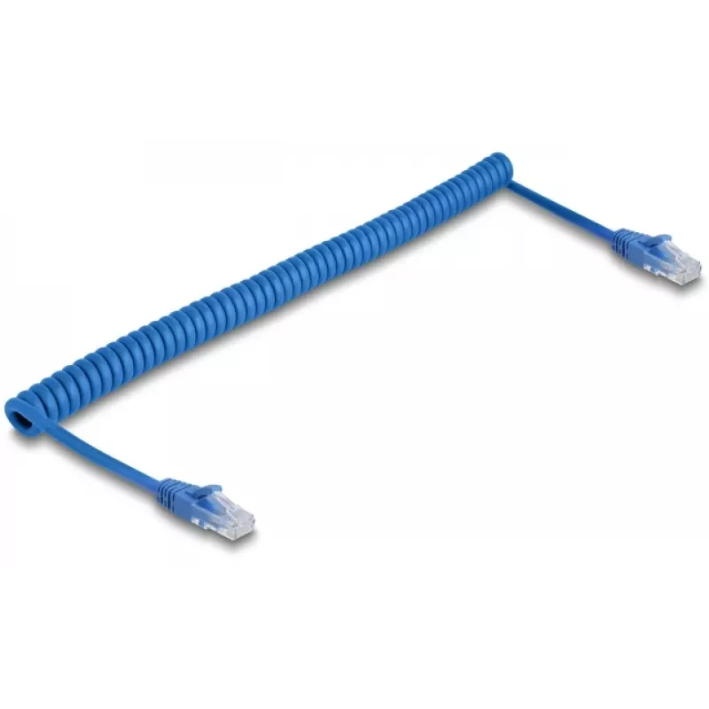 Networking cable DeLOCK 90363 RJ-45 Cat6 3.3 m Blue