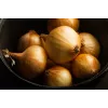 Wolska Onion Toraf Vegetable Seeds, 5g Pack