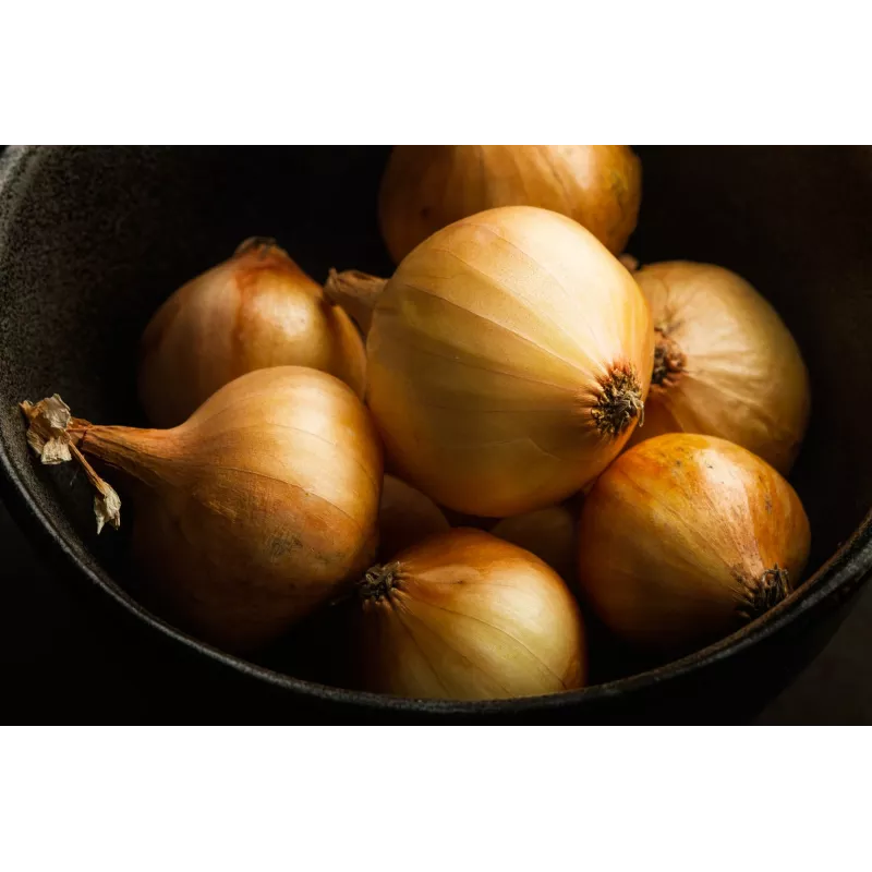 Wolska Onion Toraf Vegetable Seeds, 5g Pack
