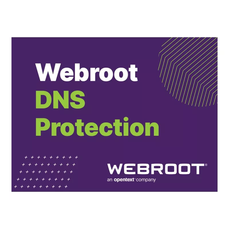 Webroot | DNS Protection with GSM Console | 2 year(s) | License quantity 10-99 user(s)