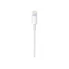 Cable Apple USB-C to Lightning Cable (1m)