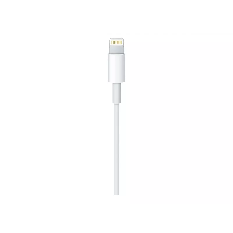 Cable Apple USB-C to Lightning Cable (1m)