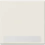 Jung LS 990 NA White (LS990NA)