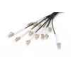 Breakout Cable Digitus DK-2433CU030BK-BBB 30m OM4 12 Fibers LC/UPC