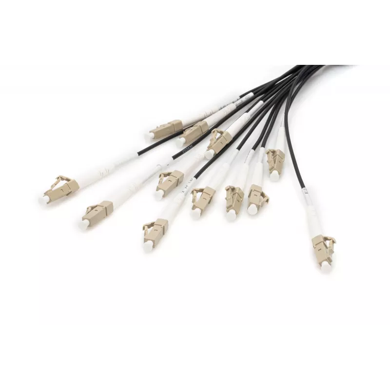 Breakout Cable Digitus DK-2433CU030BK-BBB 30m OM4 12 Fibers LC/UPC